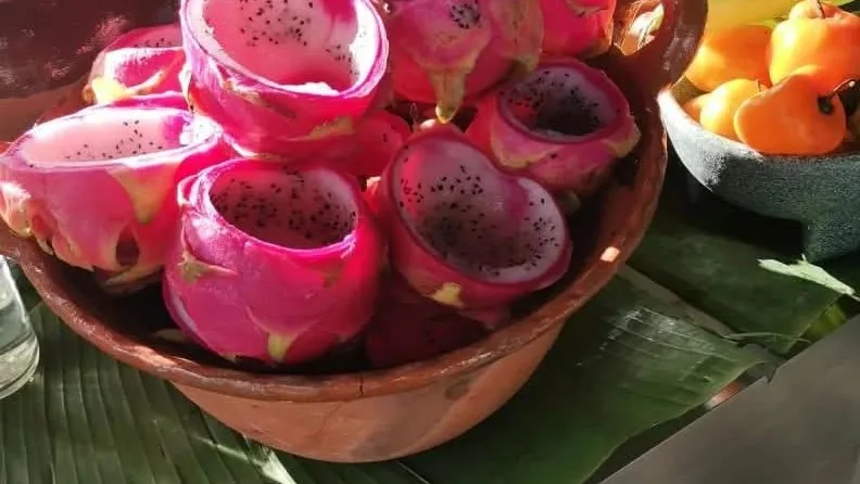 Mitades de pitaya de cáscara rosa colocadas en un cuenco sobre hojas verdes.