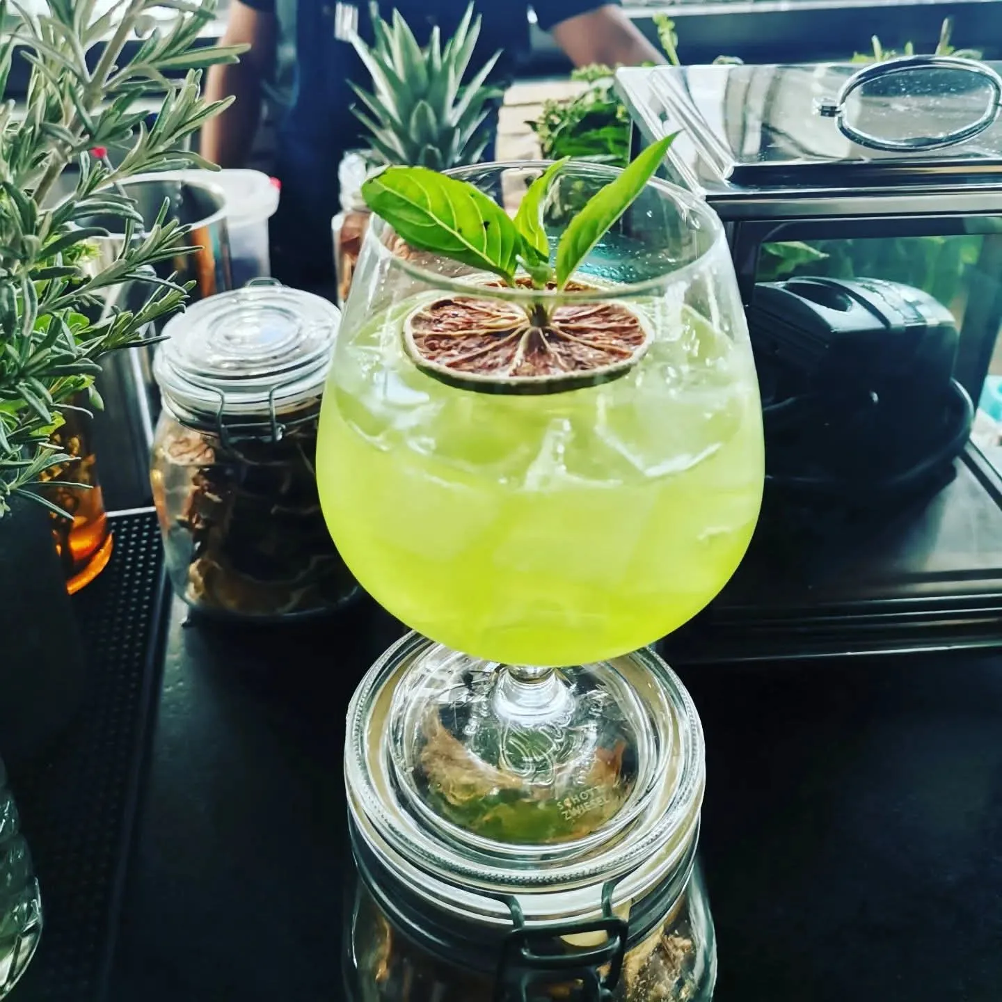 Cóctel verde con hielo, hojas y una rodaja de cítrico deshidratado en una copa de cáliz.